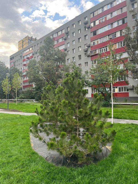 Продам 1 кімнатну квартиру С Ковалевської (Калиновая) р-к Образцова!