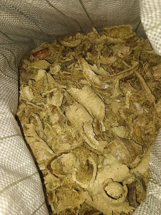 Макуха з гарбузового насіння сиродавка