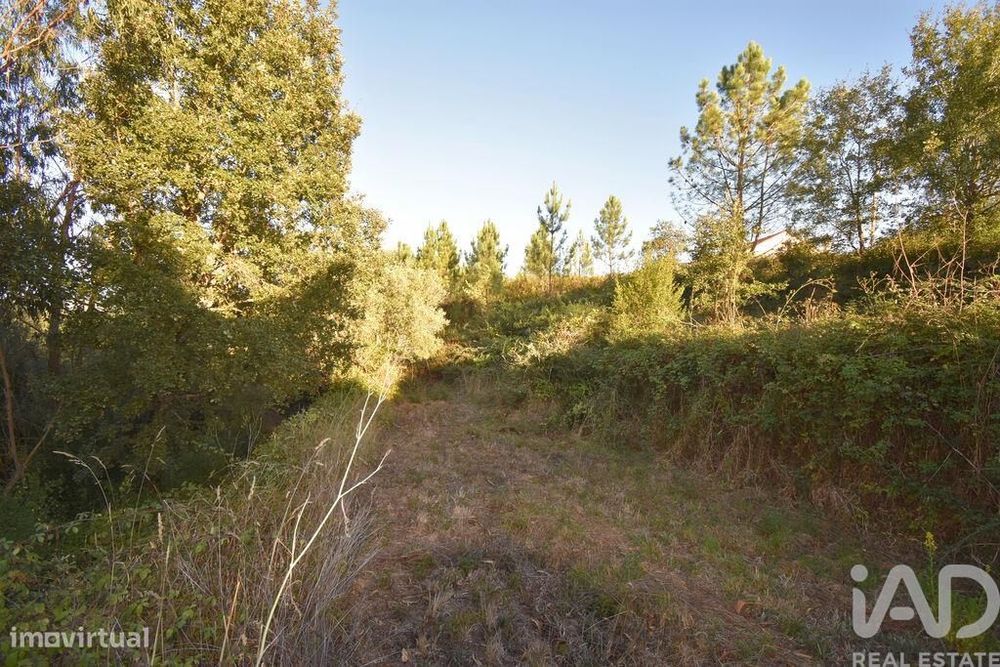 Terreno para construção em Pelariga