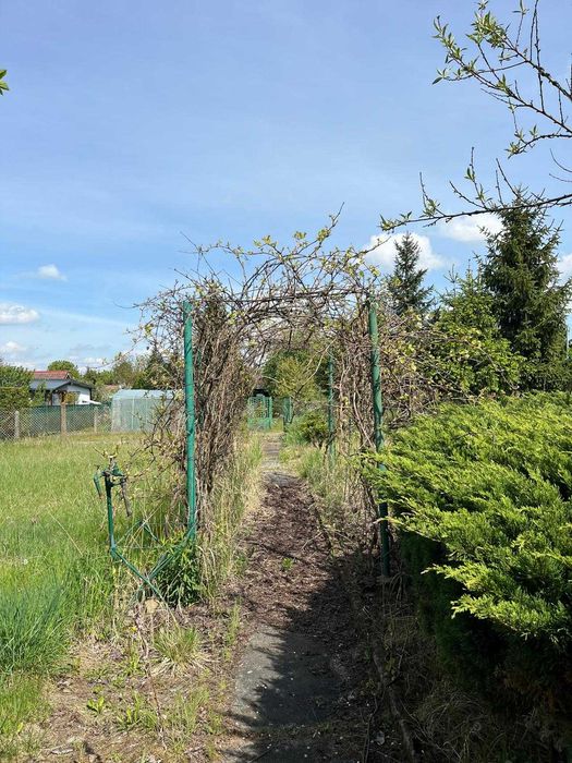 Działka ROD 459 m² ul. Grudziądzka - Widok 5