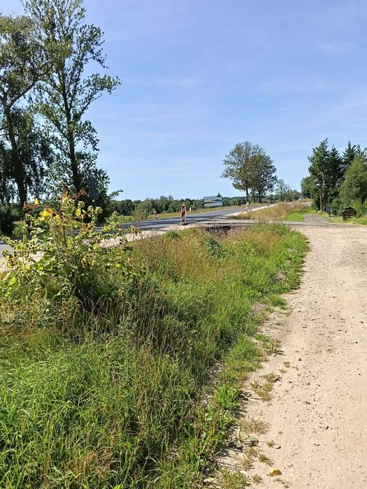 Działka budowlana nad jeziorem z własną linią brzegową - Widok 4