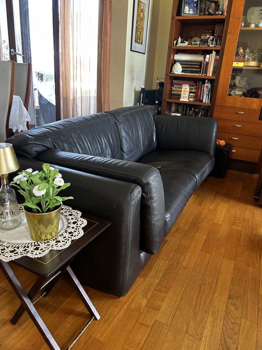 Sofas de pele conjunto