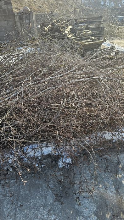 Oddam opal gałęzie palety