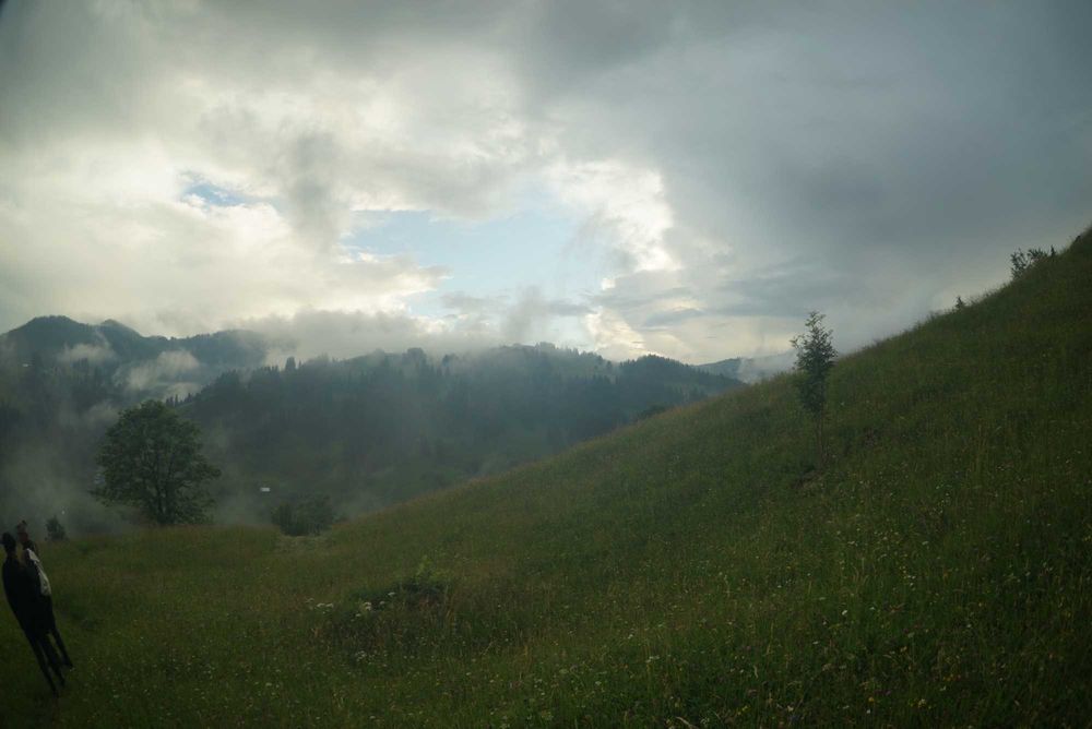 Продам Землю Карпаты Косовский район Ивано-Франковска область