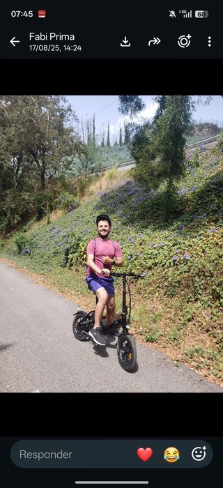 Fiido D3 Pro bike