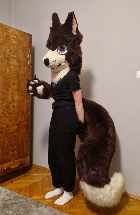 Fursuit głowa ogon łapy obrazek