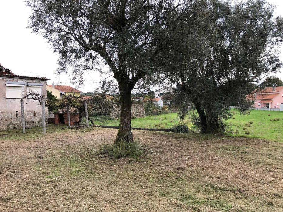 Casa rústica de aldeia com terreno, para reconstrução/remodelação.