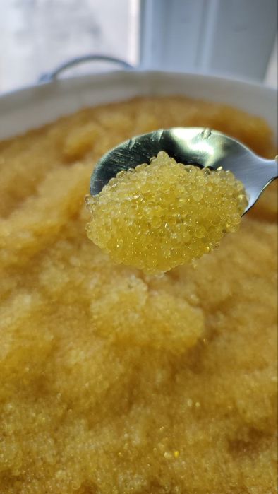 Ікра щуки 100% натуральна малосольна,с/м ікра товстолоба,коропа,судака