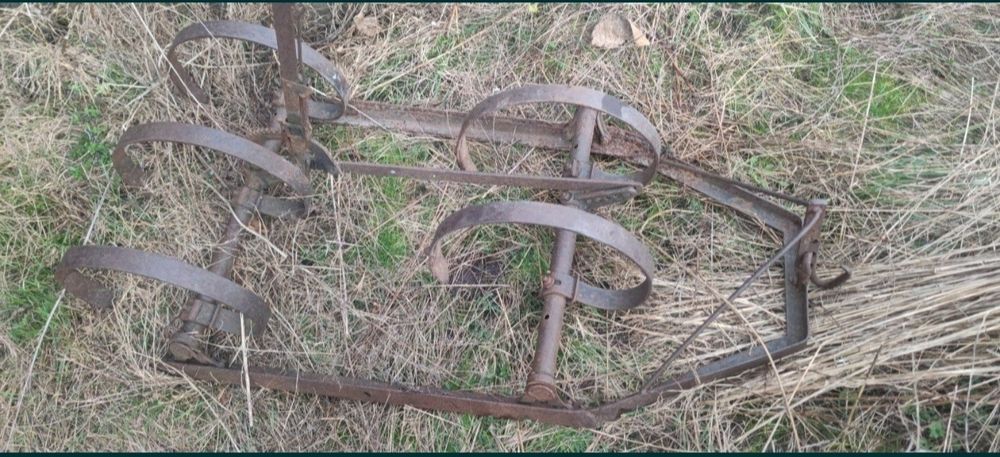 Sprężynówka konna  kultywator