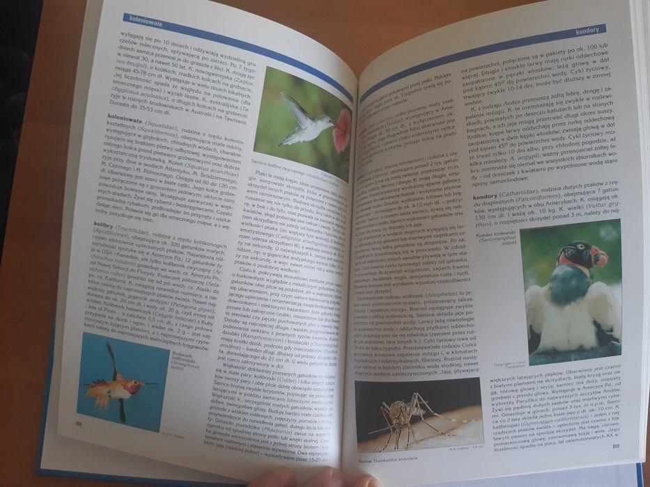 Encyklopedia Britannica Zoologia 160 str.