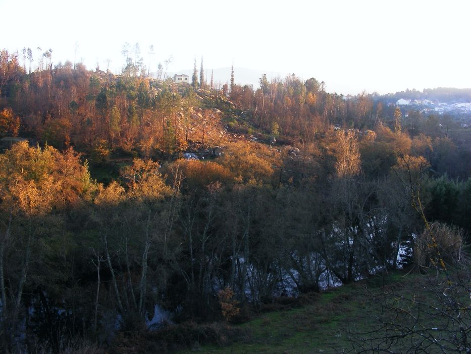 Arrenda-se Quinta Exclusiva 25ha | 1km margem de Rio Mondego