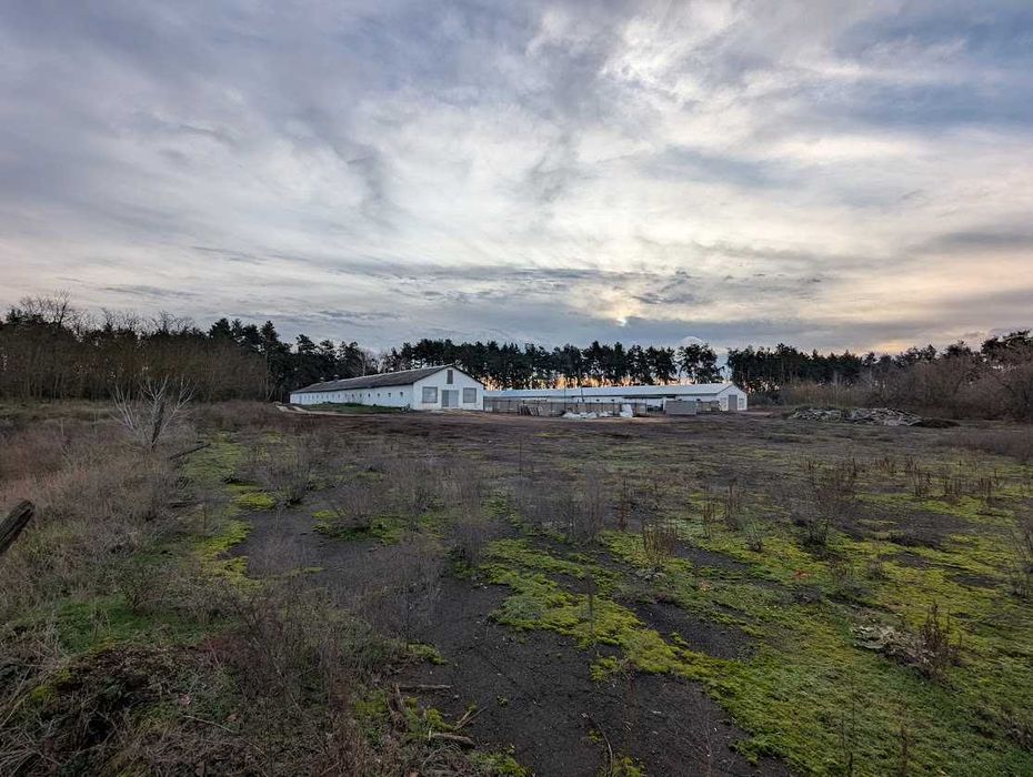 Продаж рентабельної птахоферми поблизу Городище. Кури як бізнес