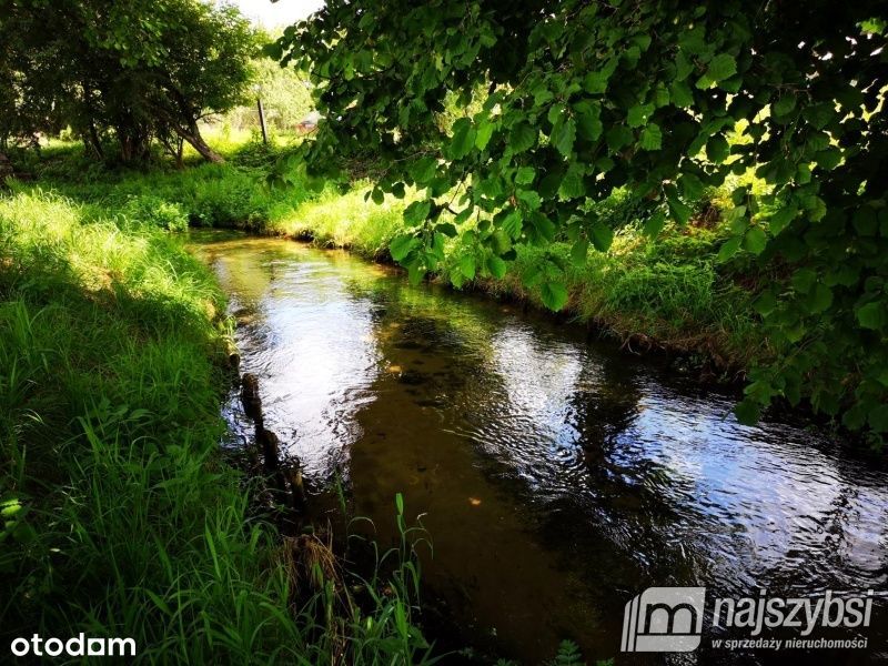 Wyjątkowa Nieruchoomość/Młyn  30 Km Od Kołobrzegu