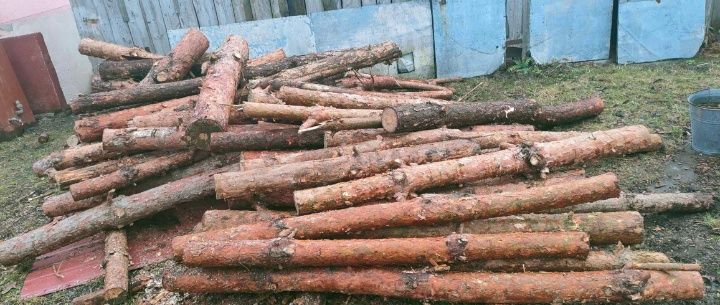 Duze worki DO WĘDZENIA drewno owocowe, LIPA SOSNA BUK kominkowe liscia