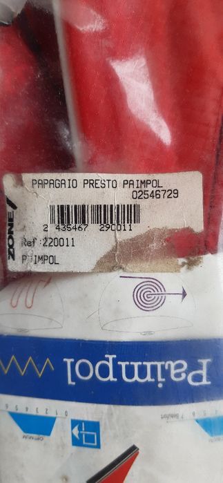 Papagaio para crianças