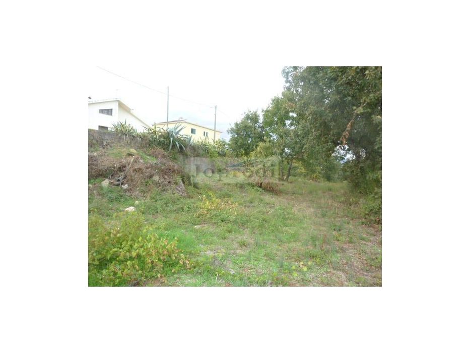 3 Lotes de terreno urbano