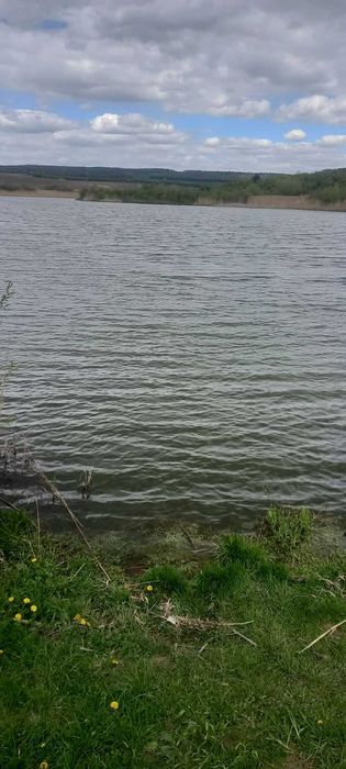 Оренди земельної ділянки водного фонду площею 10,2833 га, Тернопільська обл. - Vista 5