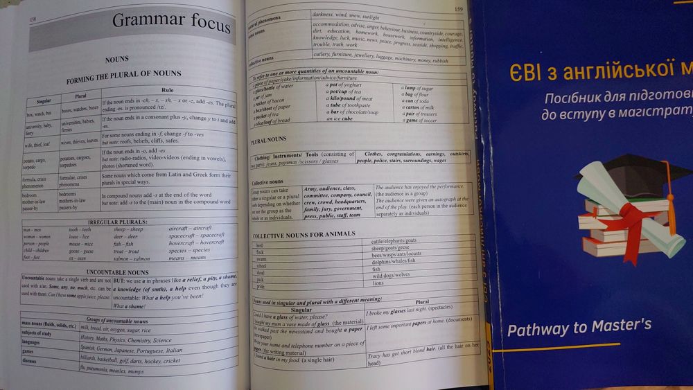 ЄВІ з англійської мови Посібник для підготовки в магістратуру 2025