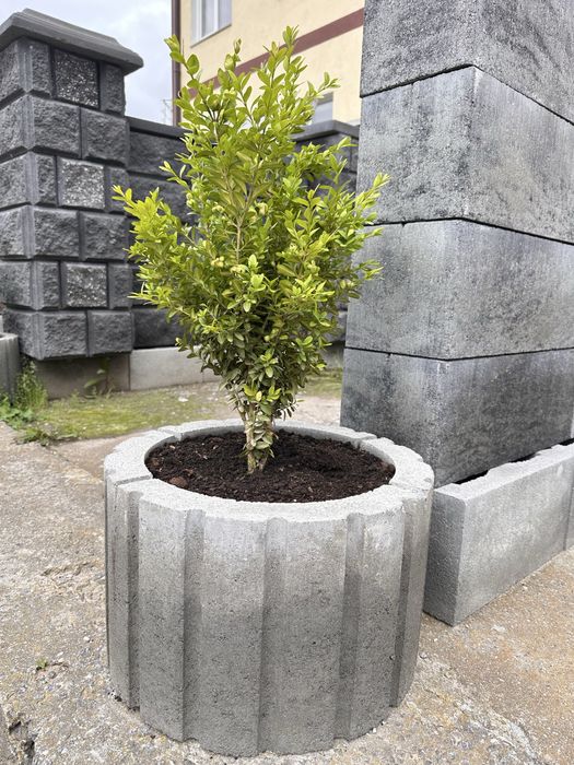 Квітник/ бетонний квітник/ цветник