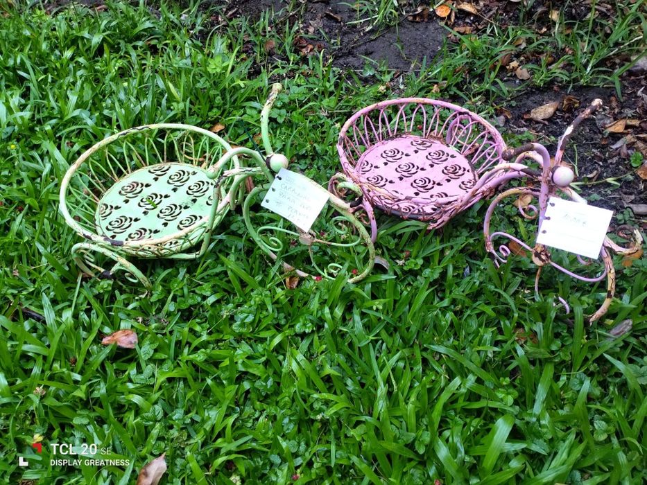 Carrinhos decorativos para plantas - 10€ cada