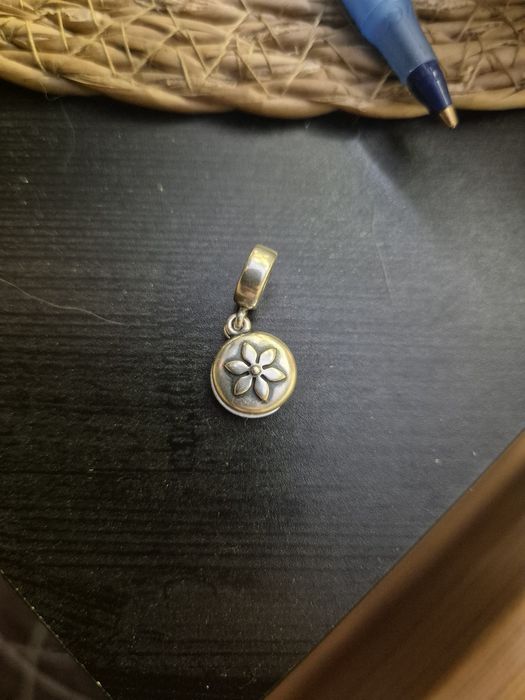 Srebra zawieszka pandora