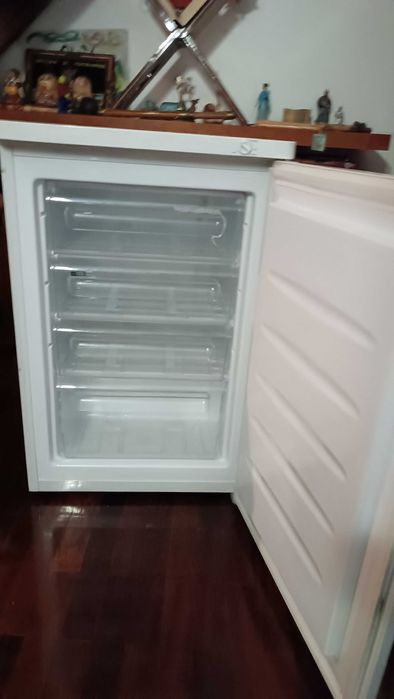 Arca Congeladora e Frigorifico