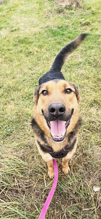 Wiktor wiecznie uśmiechnięty