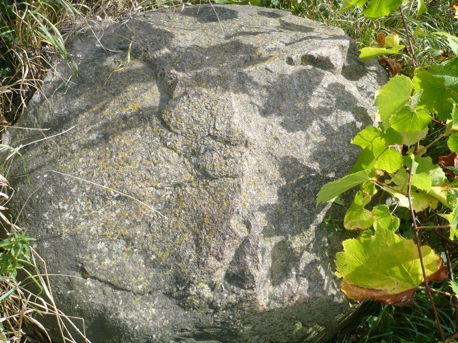 Głaz (kamień) średnica około 1,5 m