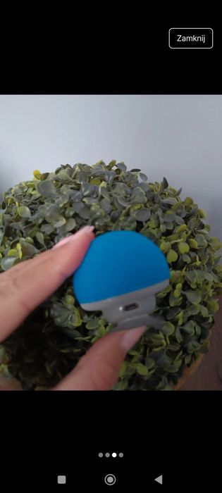 Głośnik przenośny Bluetooth