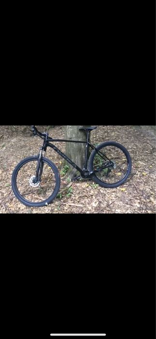 Rower Orbea Onna 29 50