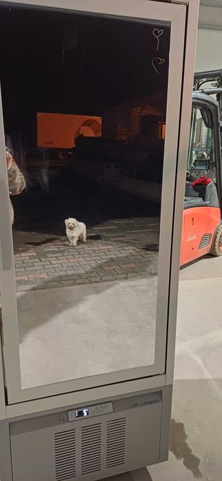 Witryna chłodnicza cukiernicza