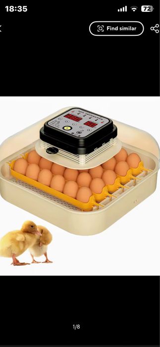 Chocadeira 30 ovos toda automatica