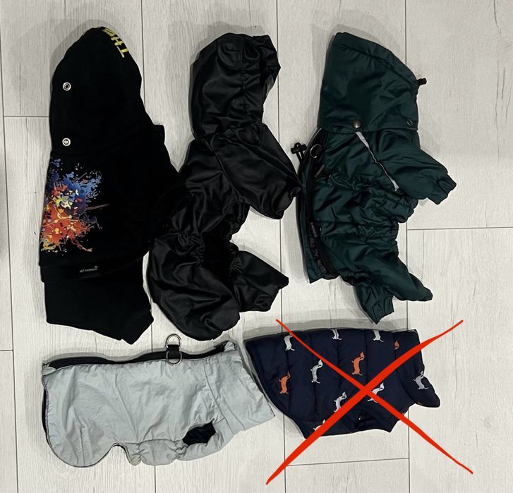 Шлея Zeedog розмір XS ami play pesic co pets fashion