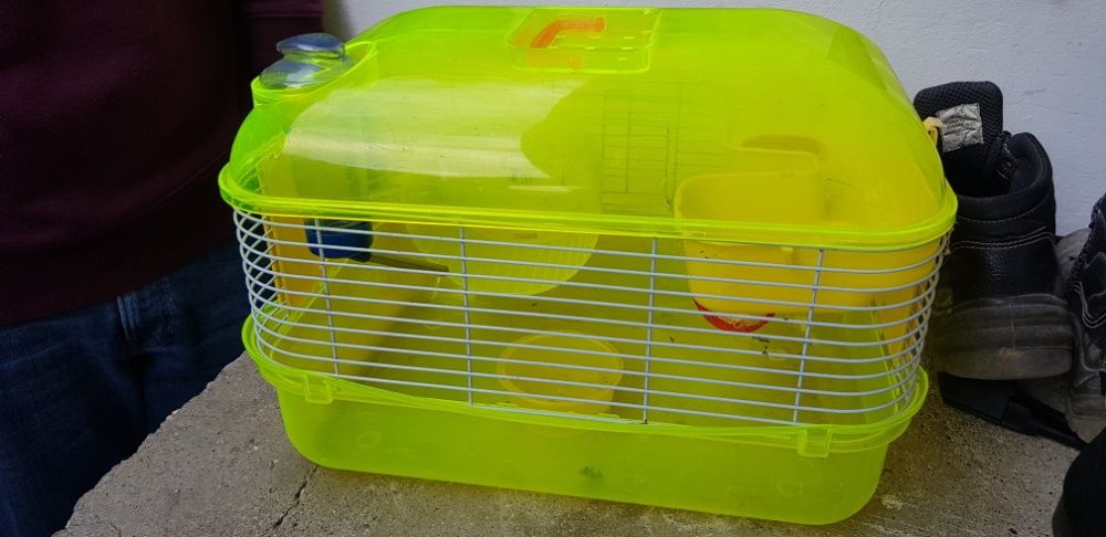 Casota hamster como nova64586355708291120