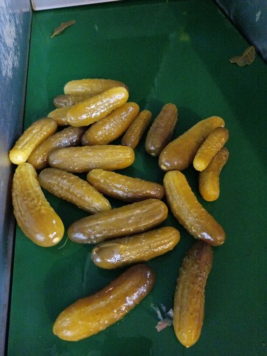 Ogórki kiszone smaczne