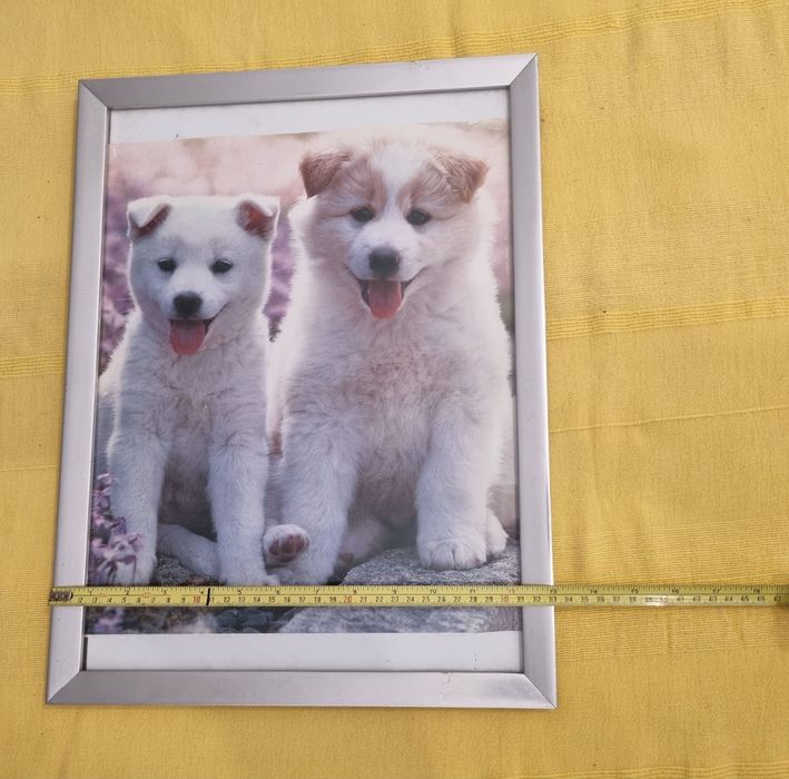 Quadro para Parede medidas nas fotos recolha no local