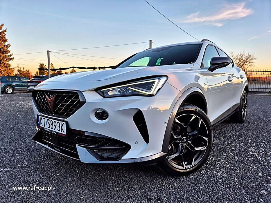 Cupra Formentor TRIBE EDITION 2.0 TSI 245KM DSG Skóra led kamera Duża Navi 6xPDC HAK