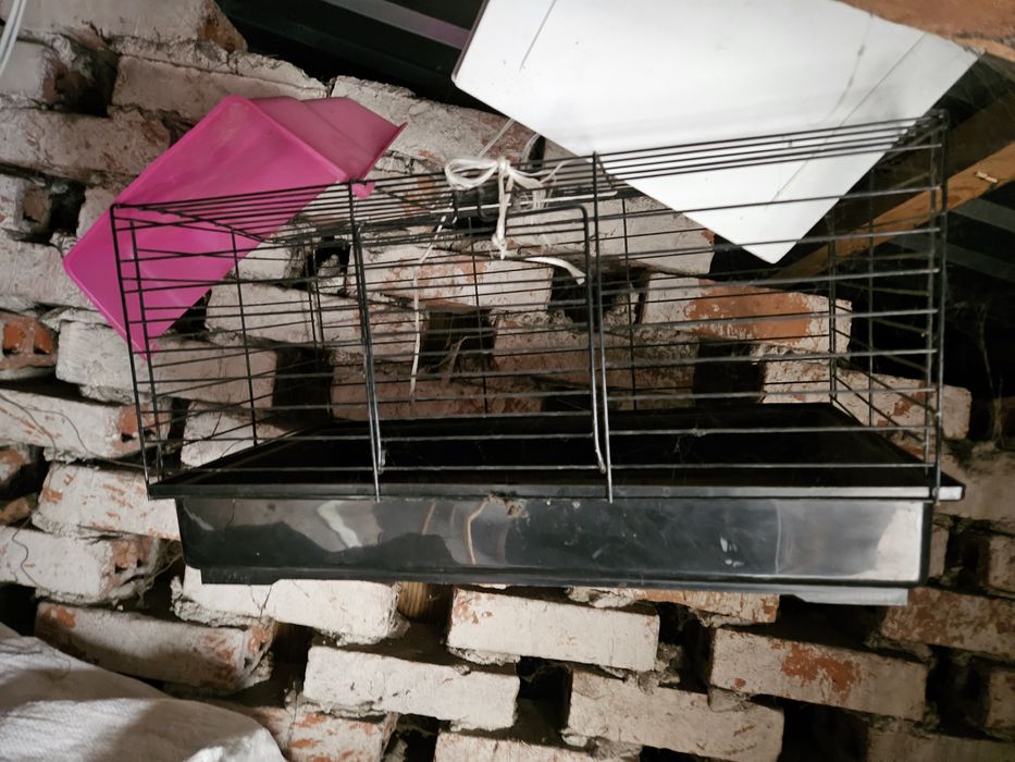 Klatki dla zwierząt