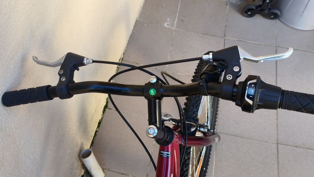 Bicicleta WildTrak Adulto