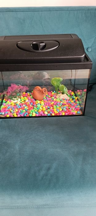 Sprzedam akwarium 30 l