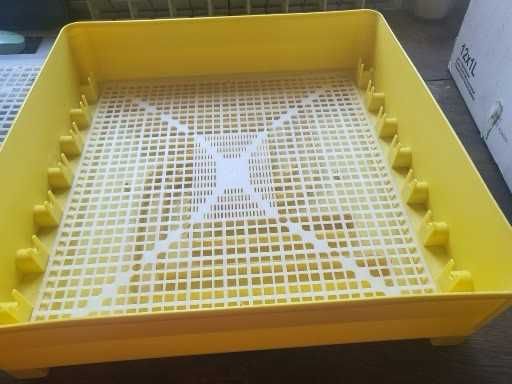 inkubator do wylęgu jaj