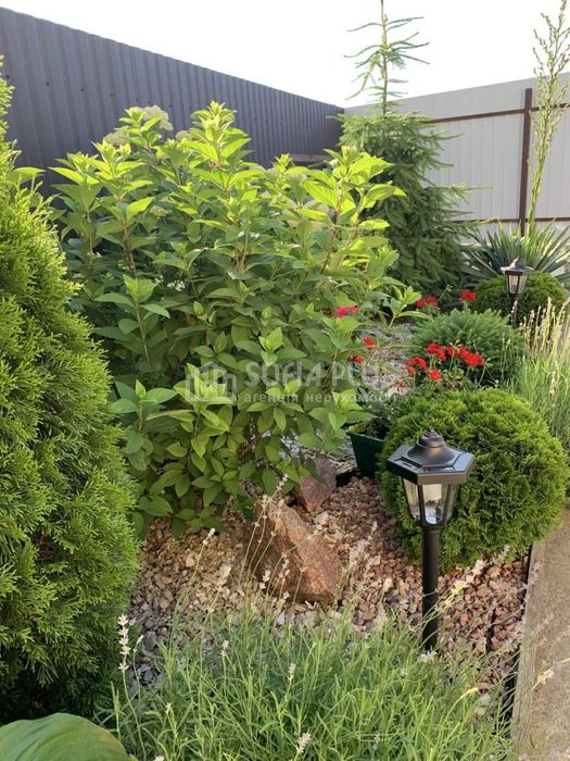 2-эт. дом, 92м2, 2.5 сот, Петропавловская Борщаговка, Полтавская 5А, с