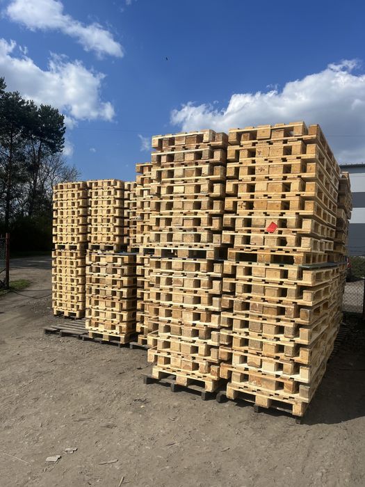 Paleta EURO I Gatunek Jasna