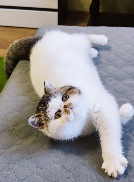 Екзотична дівчинка