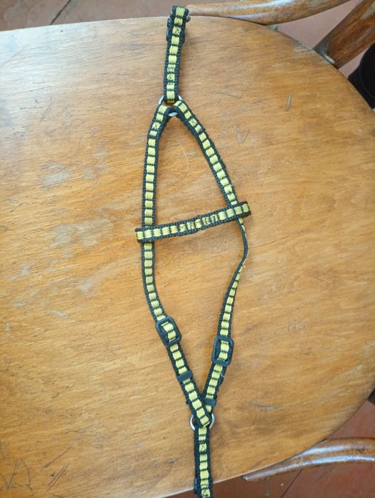 Шлейки для собаки или кота