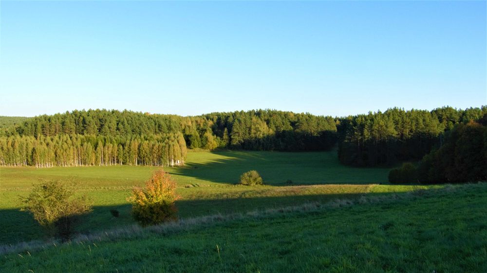 gospodarstwo agroturystyczne Bielik Mazury