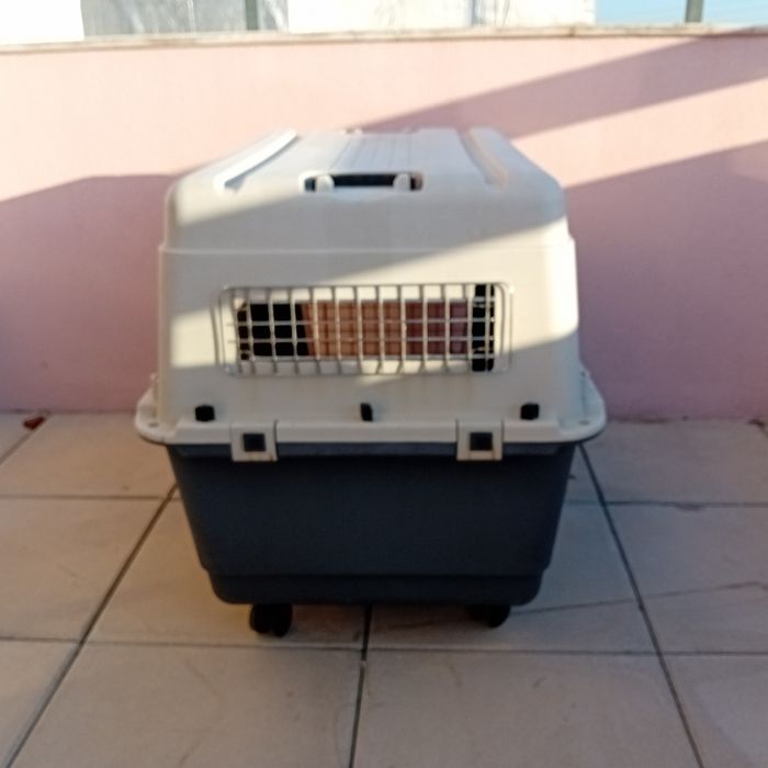 Caixa de transporte para animais