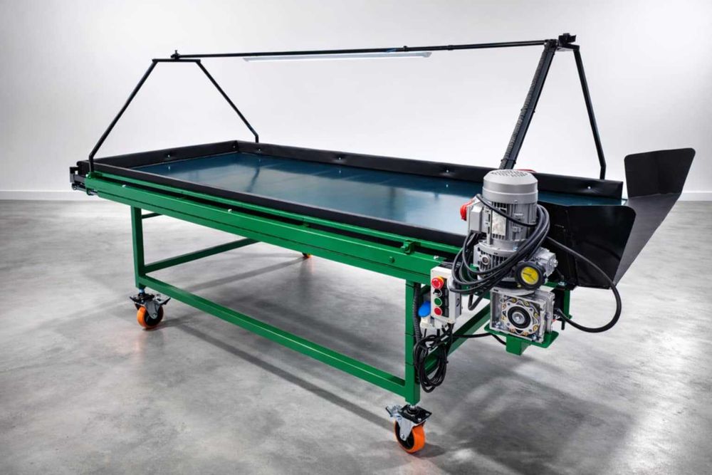 Taśmociąg do przebierania owoców i warzyw