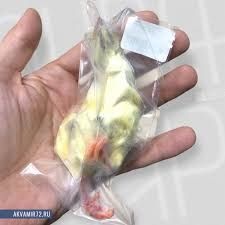 Кормовые суточные цыплята, заморозка