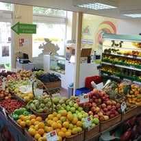 TRESPASSE – Frutaria Vale das Flores - Coimbra - Urgente